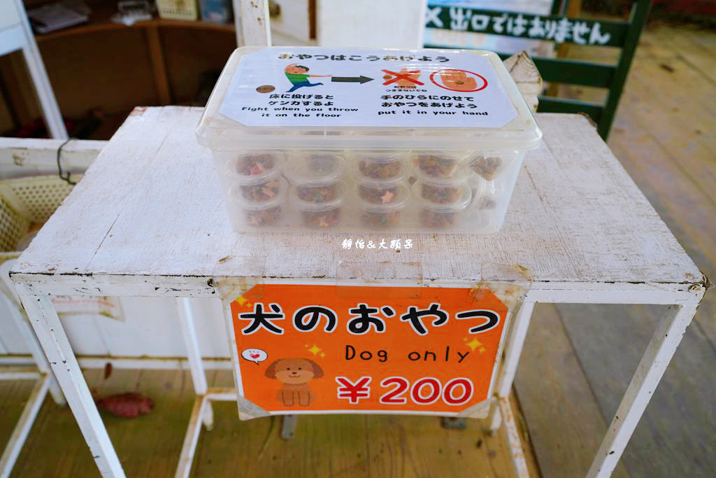 沖繩自由行 ❙ 名護自然動植物公園，近距離與可愛動物互動，沖