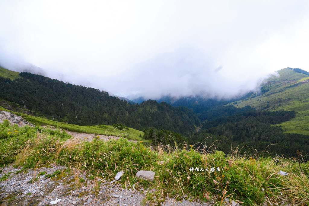 合歡山武嶺 ❙ 台灣公路最高點，超人氣賞雪、觀星景點，清境農