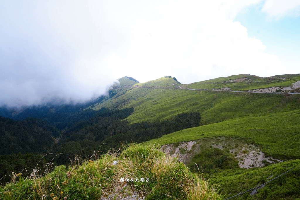 合歡山武嶺 ❙ 台灣公路最高點，超人氣賞雪、觀星景點，清境農