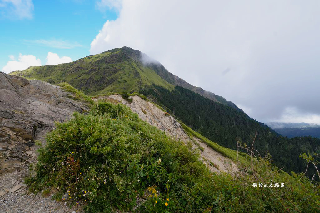 合歡山武嶺 ❙ 台灣公路最高點，超人氣賞雪、觀星景點，清境農