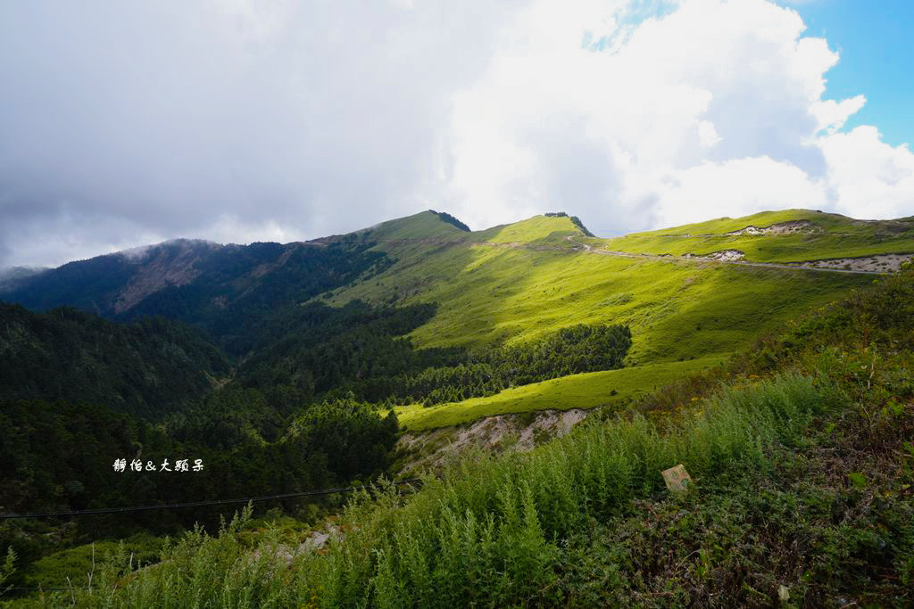 合歡山武嶺 ❙ 台灣公路最高點，超人氣賞雪、觀星景點，清境農