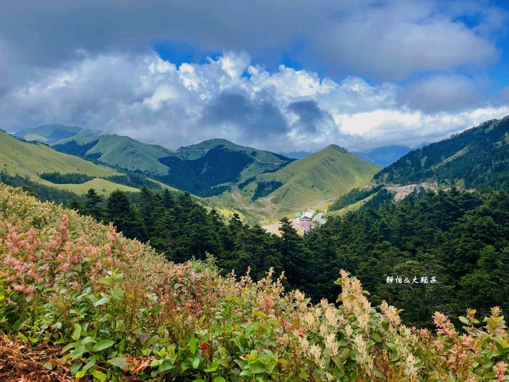 合歡山武嶺 ❙ 台灣公路最高點，超人氣賞雪、觀星景點，清境農