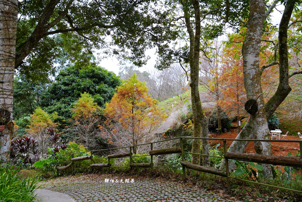 悠然秘境小屋 ❙ 山林裡小秘境，超隱藏版落羽松咖啡廳，桃園復