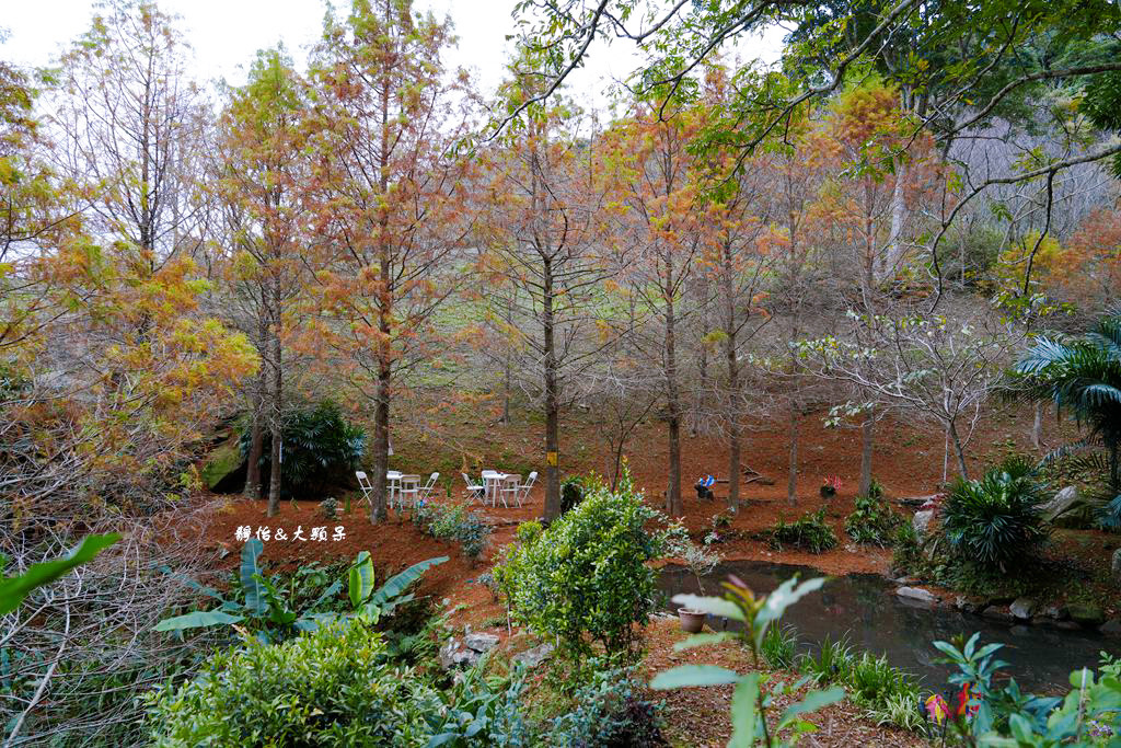 悠然秘境小屋 ❙ 山林裡小秘境，超隱藏版落羽松咖啡廳，桃園復