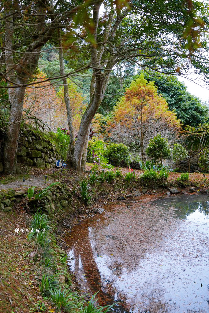 悠然秘境小屋 ❙ 山林裡小秘境，超隱藏版落羽松咖啡廳，桃園復