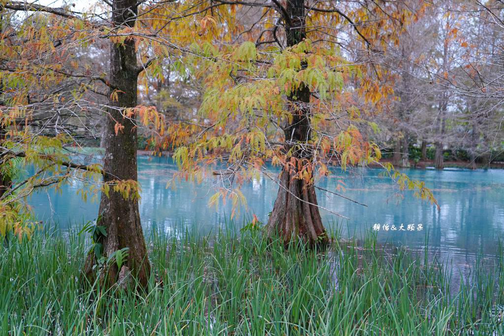 雲山水 ❙ 蒂芬妮藍夢幻湖景、落羽松，必拍跳石步道，花蓮壽豐