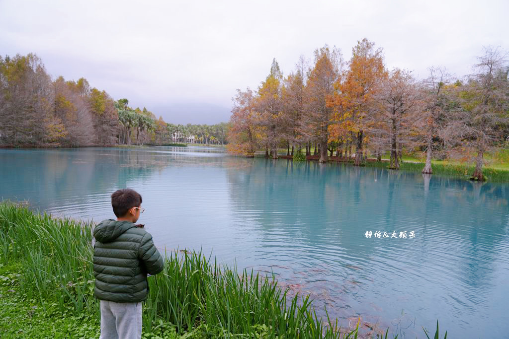 雲山水 ❙ 蒂芬妮藍夢幻湖景、落羽松，必拍跳石步道，花蓮壽豐