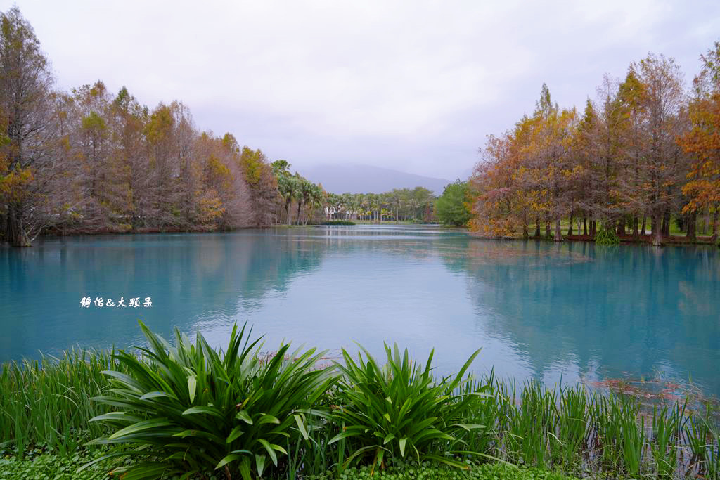 雲山水 ❙ 蒂芬妮藍夢幻湖景、落羽松，必拍跳石步道，花蓮壽豐