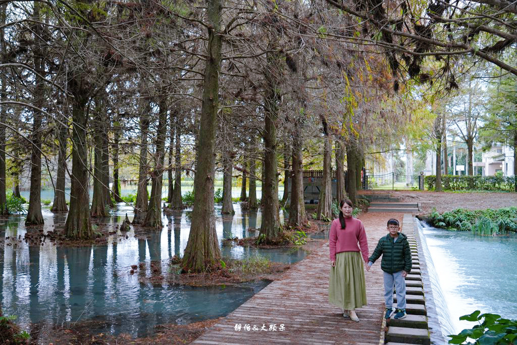 雲山水 ❙ 蒂芬妮藍夢幻湖景、落羽松，必拍跳石步道，花蓮壽豐