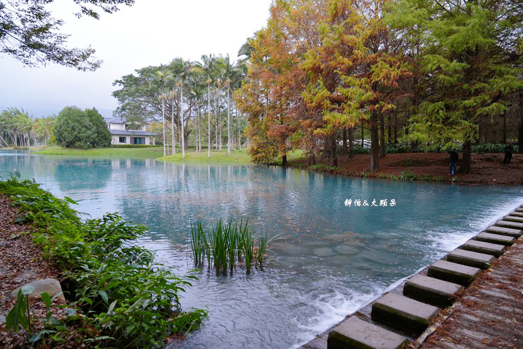 雲山水 ❙ 蒂芬妮藍夢幻湖景、落羽松，必拍跳石步道，花蓮壽豐