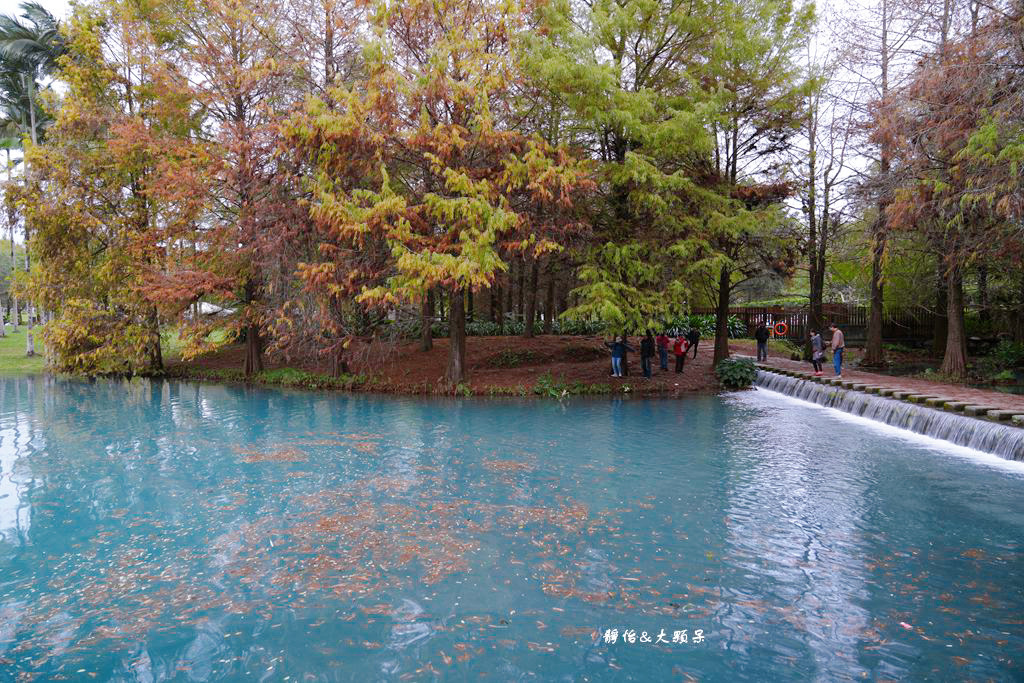 雲山水 ❙ 蒂芬妮藍夢幻湖景、落羽松，必拍跳石步道，花蓮壽豐