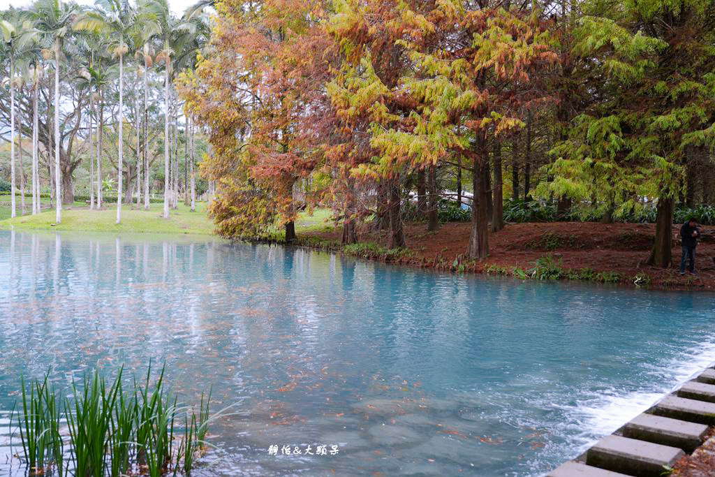 雲山水 ❙ 蒂芬妮藍夢幻湖景、落羽松，必拍跳石步道，花蓮壽豐