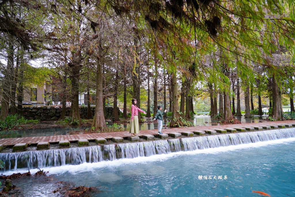 雲山水 ❙ 蒂芬妮藍夢幻湖景、落羽松，必拍跳石步道，花蓮壽豐