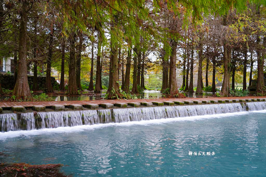 雲山水 ❙ 蒂芬妮藍夢幻湖景、落羽松，必拍跳石步道，花蓮壽豐