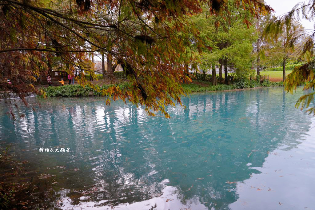 雲山水 ❙ 蒂芬妮藍夢幻湖景、落羽松，必拍跳石步道，花蓮壽豐