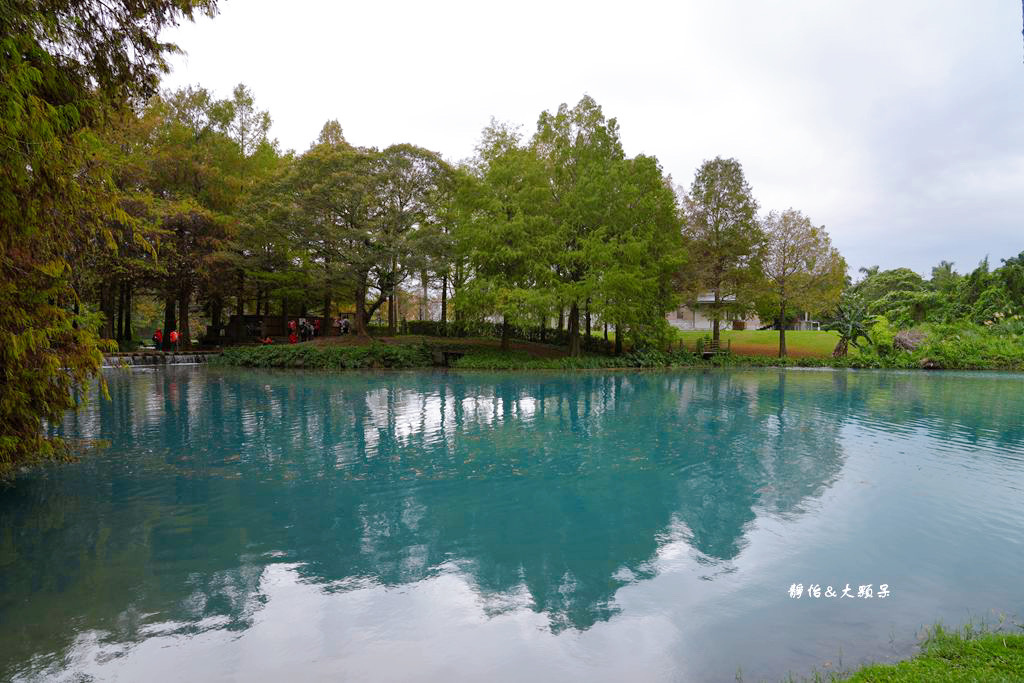 雲山水 ❙ 蒂芬妮藍夢幻湖景、落羽松，必拍跳石步道，花蓮壽豐