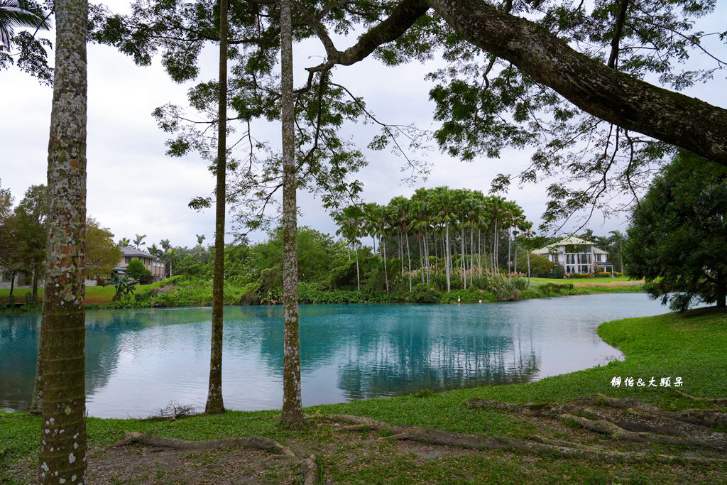 雲山水 ❙ 蒂芬妮藍夢幻湖景、落羽松，必拍跳石步道，花蓮壽豐