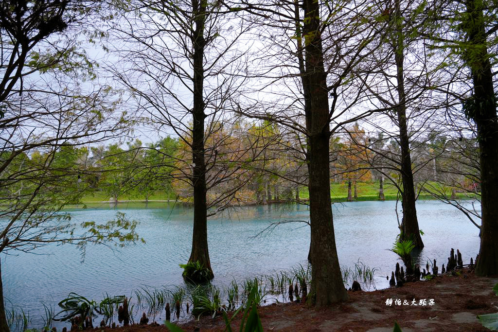 雲山水 ❙ 蒂芬妮藍夢幻湖景、落羽松，必拍跳石步道，花蓮壽豐