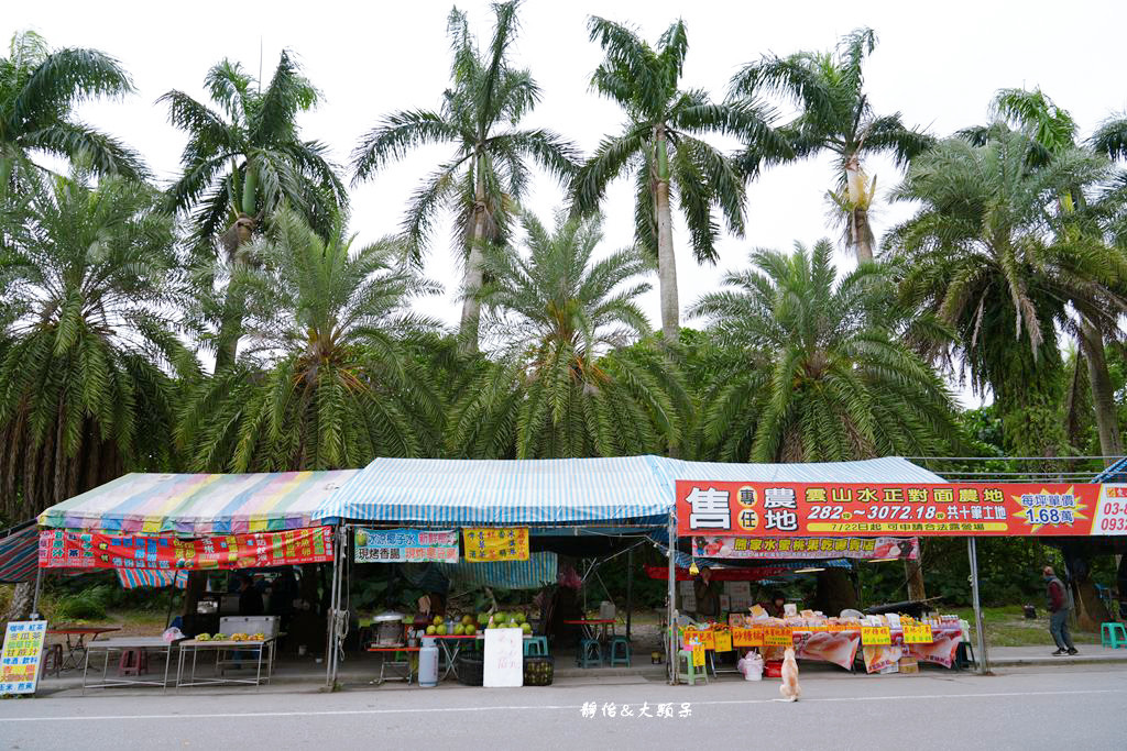 雲山水 ❙ 蒂芬妮藍夢幻湖景、落羽松，必拍跳石步道，花蓮壽豐