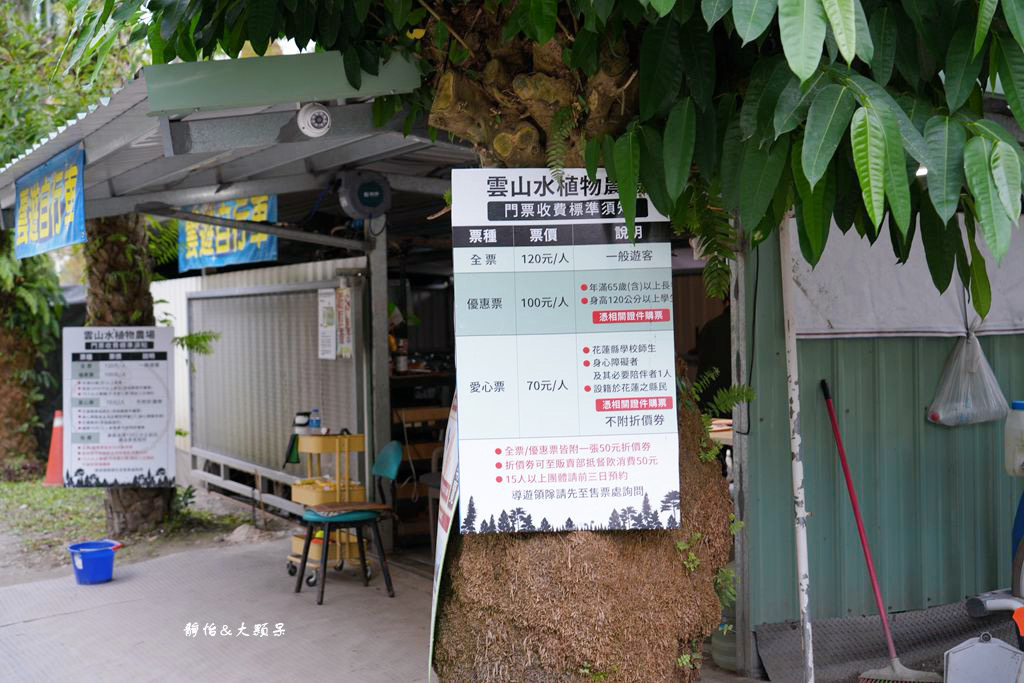 雲山水 ❙ 蒂芬妮藍夢幻湖景、落羽松，必拍跳石步道，花蓮壽豐