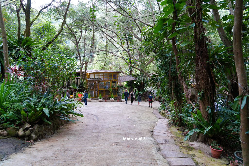 綠庭緣 ❙ 山林裡玻璃屋咖啡廳，虎頭山步道旁，桃園森林系景觀