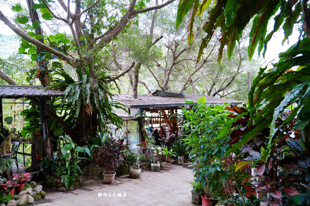 綠庭緣 ❙ 山林裡玻璃屋咖啡廳，虎頭山步道旁，桃園森林系景觀