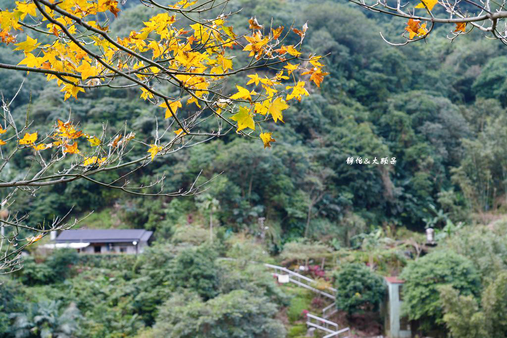 三貂嶺生態友善隧道 ❙ 封閉30年神秘百年隧道，鏡面水池倒影