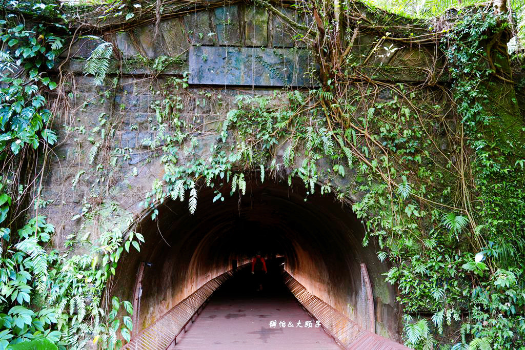 三貂嶺生態友善隧道 ❙ 封閉30年神秘百年隧道，鏡面水池倒影