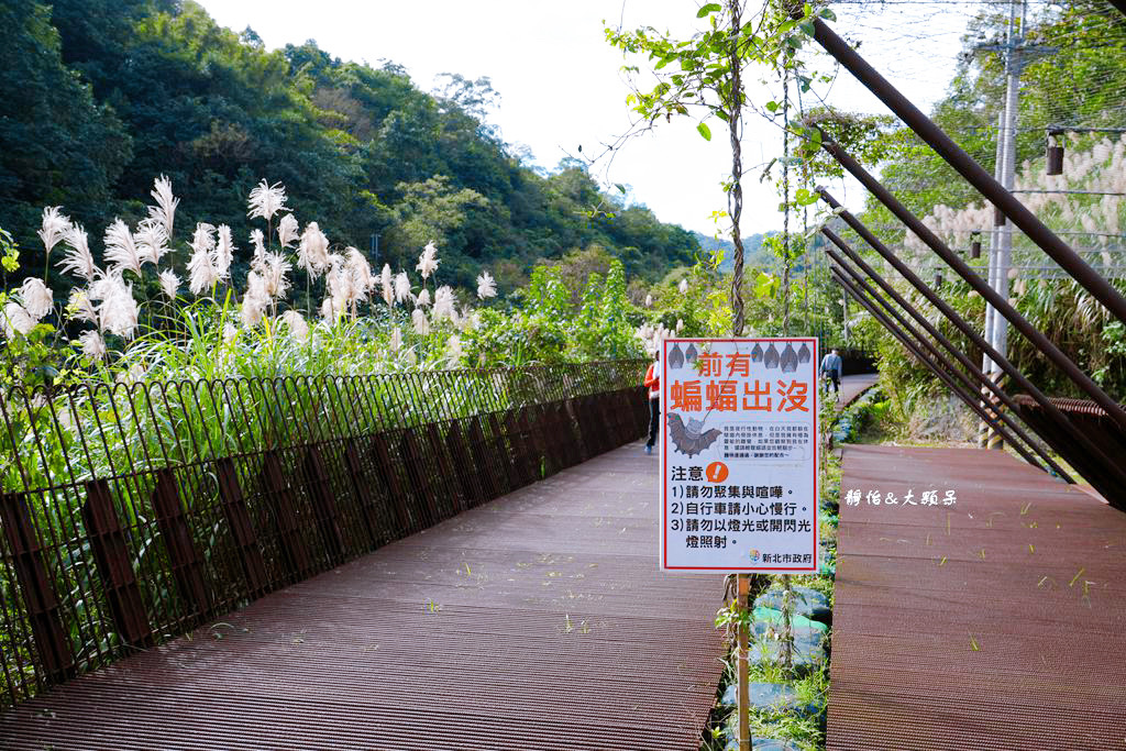 三貂嶺生態友善隧道 ❙ 封閉30年神秘百年隧道，鏡面水池倒影