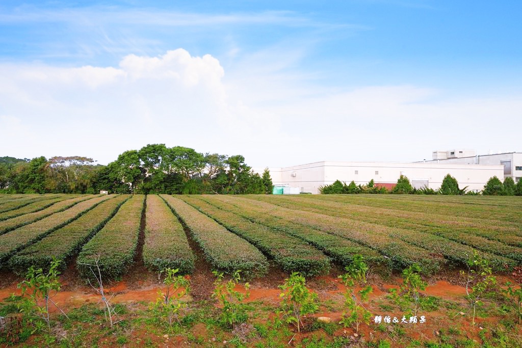 臺灣客家茶文化館 ❙ 六國茶室、小茶師體驗、親子手作DIY、