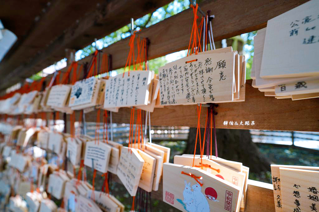 明治神宮 ❙ 原木大鳥居、酒樽牆，明治神宮交通，東京景點、東