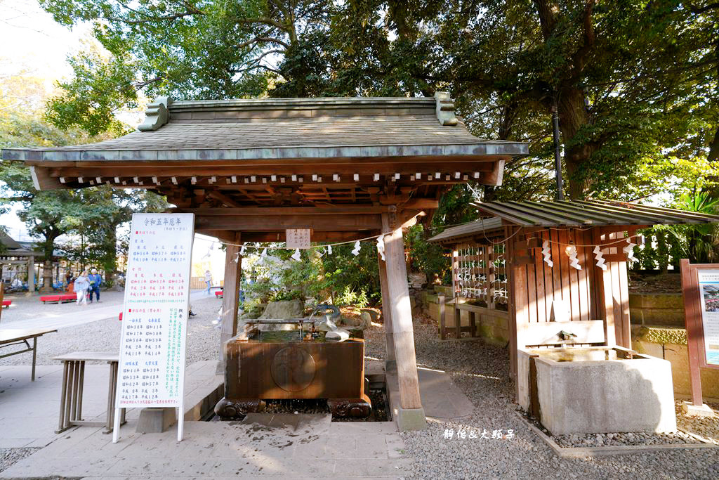 川越冰川神社 ❙ 祈求良緣鯛魚籤、繪馬隧道、人形流，崎玉旅遊