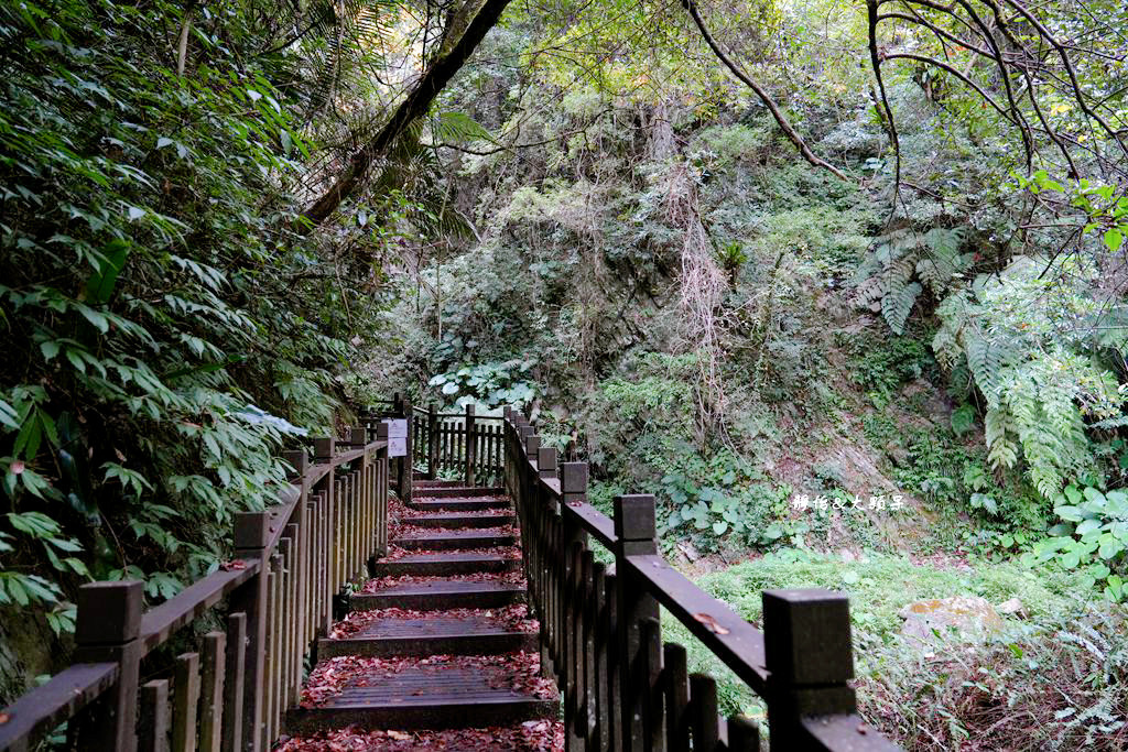 老鷹溪生態親子步道 ❙ 輕鬆好走，不用半小時輕鬆捕捉瀑布美景