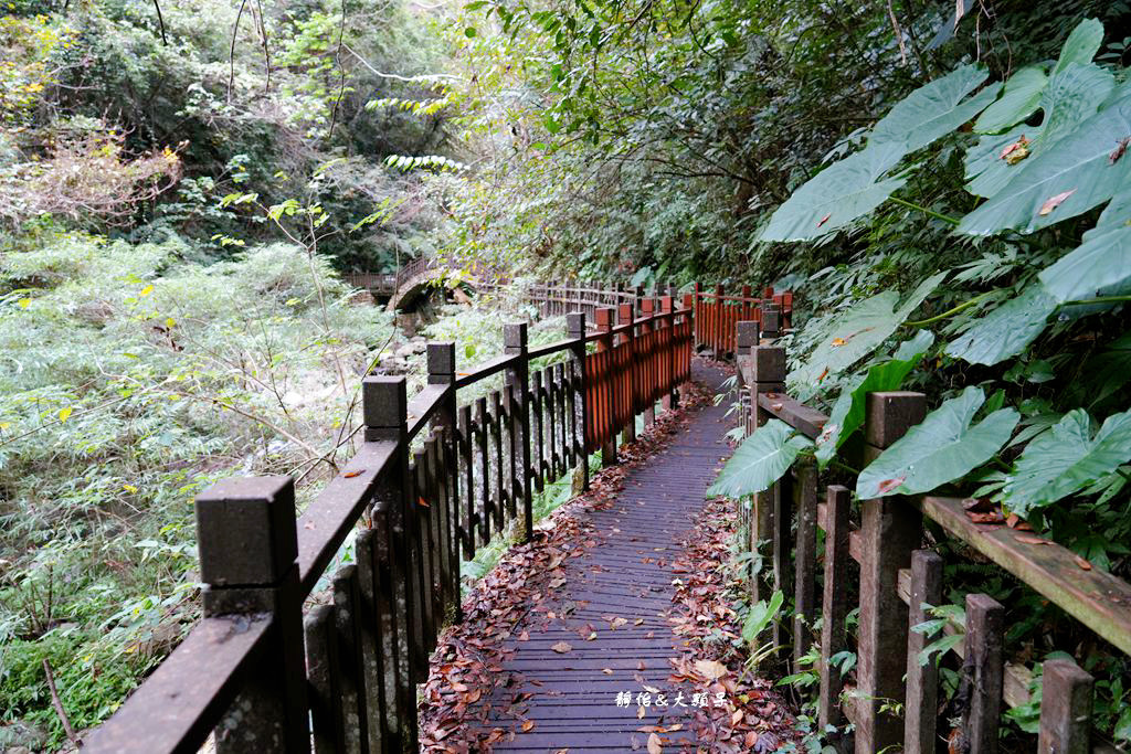 老鷹溪生態親子步道 ❙ 輕鬆好走，不用半小時輕鬆捕捉瀑布美景