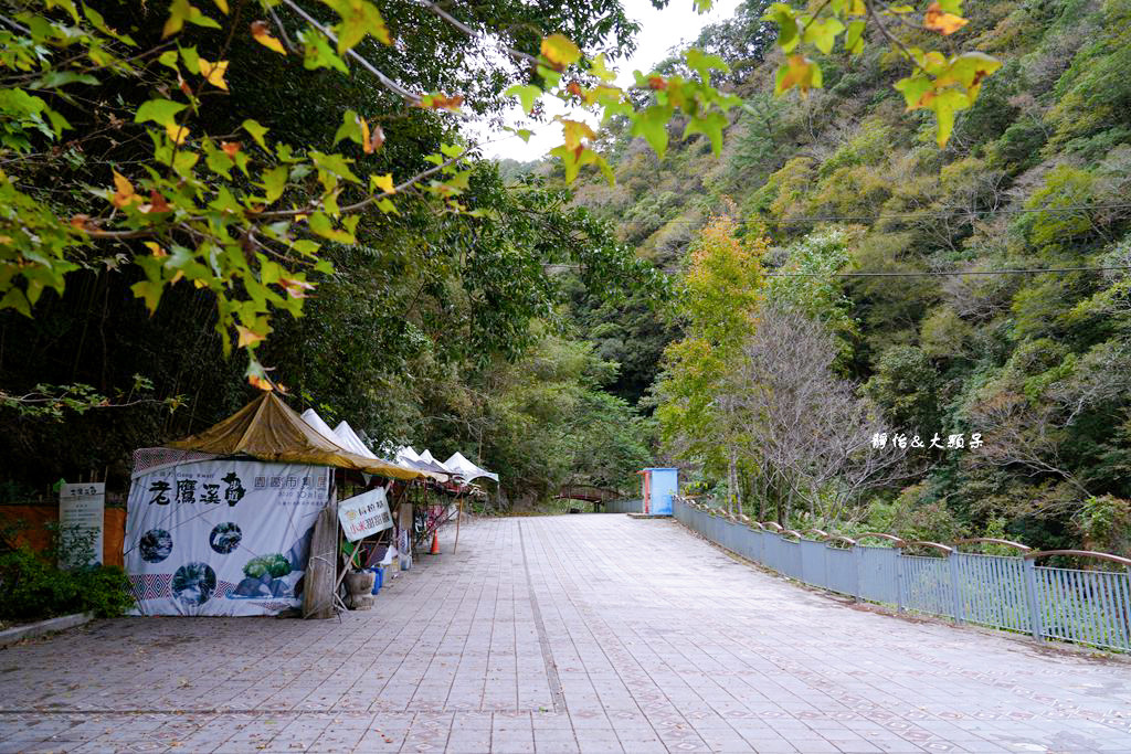 老鷹溪生態親子步道 ❙ 輕鬆好走，不用半小時輕鬆捕捉瀑布美景