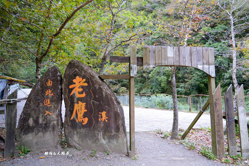 老鷹溪生態親子步道 ❙ 輕鬆好走，不用半小時輕鬆捕捉瀑布美景