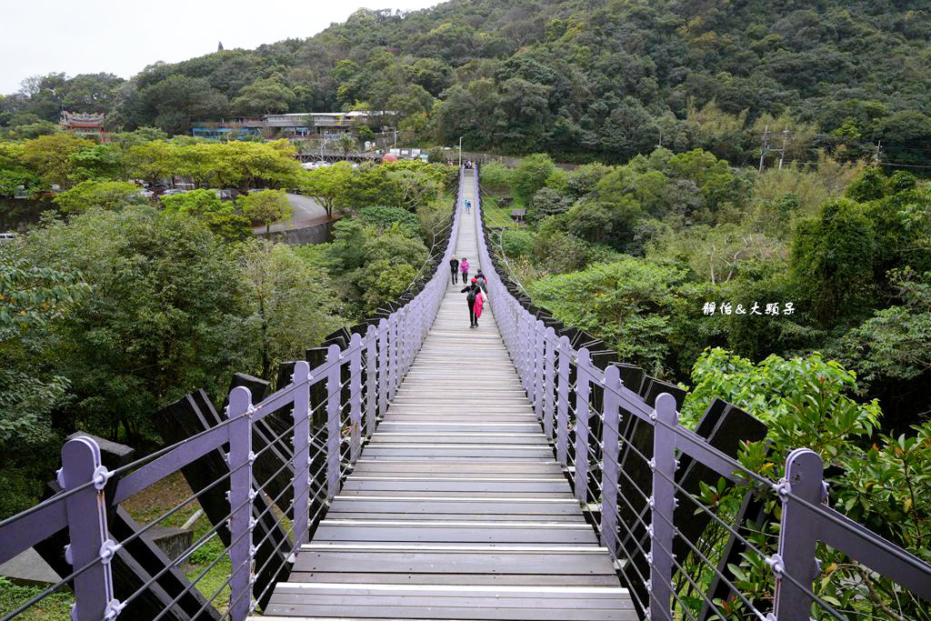 內湖草莓季 ❙ 黃文成草莓園、碧山巖觀景平台與櫻花隧道，內湖