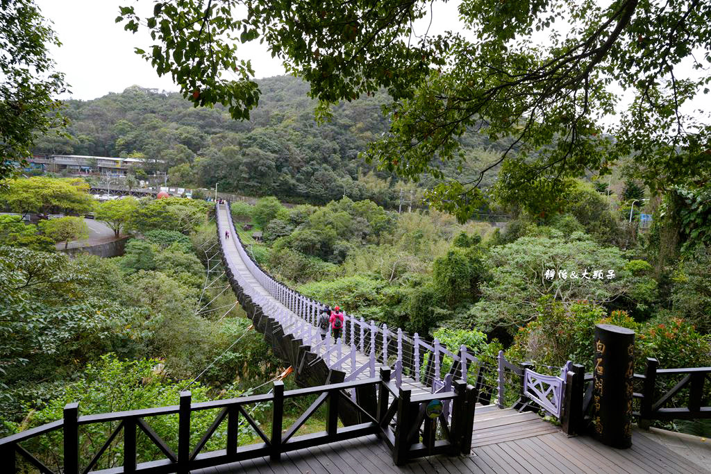 內湖草莓季 ❙ 黃文成草莓園、碧山巖觀景平台與櫻花隧道，內湖