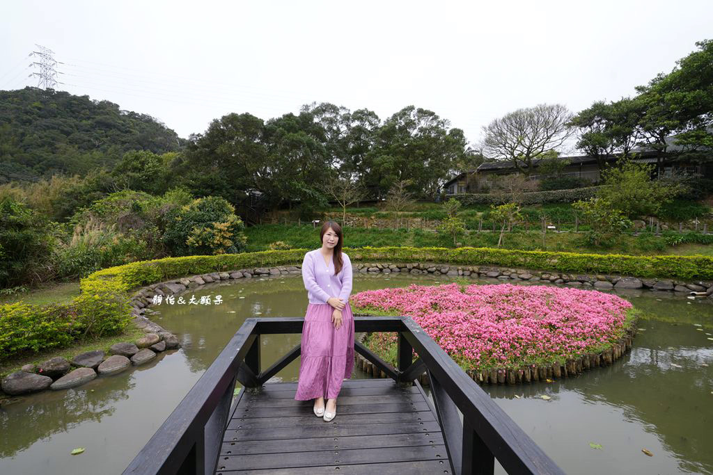 內湖草莓季 ❙ 黃文成草莓園、碧山巖觀景平台與櫻花隧道，內湖