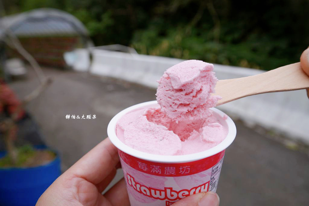 內湖草莓季 ❙ 黃文成草莓園、碧山巖觀景平台與櫻花隧道，內湖