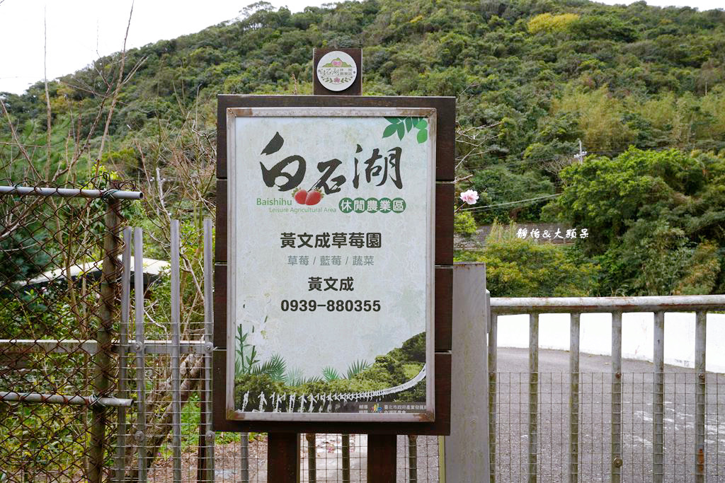 內湖草莓季 ❙ 黃文成草莓園、碧山巖觀景平台與櫻花隧道，內湖