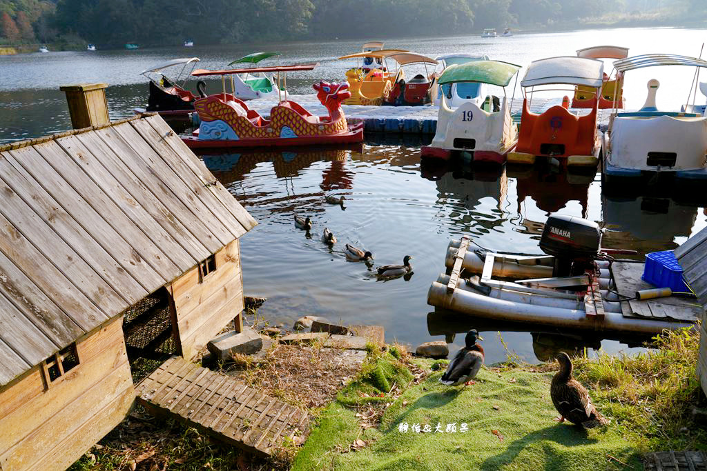 映象水岸 ❙ 峇里島發呆亭湖畔咖啡、踩天鵝船遊湖，苗栗三義景