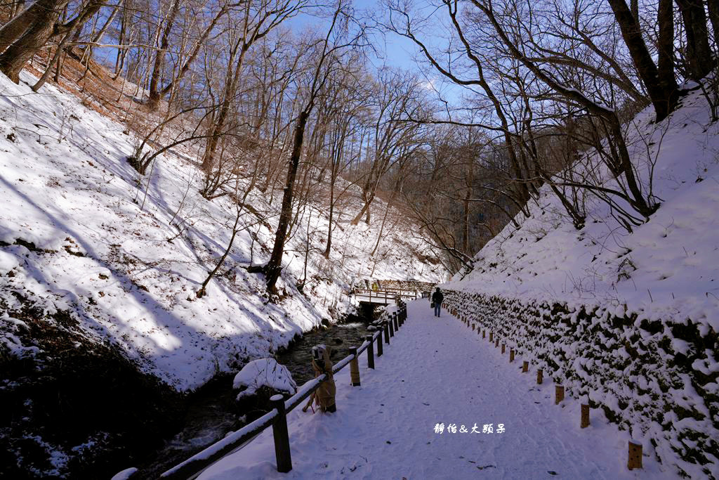 東京旅遊 ❙ 輕井澤白絲瀑布、白糸の滝，白雪皚皚，日本輕井澤