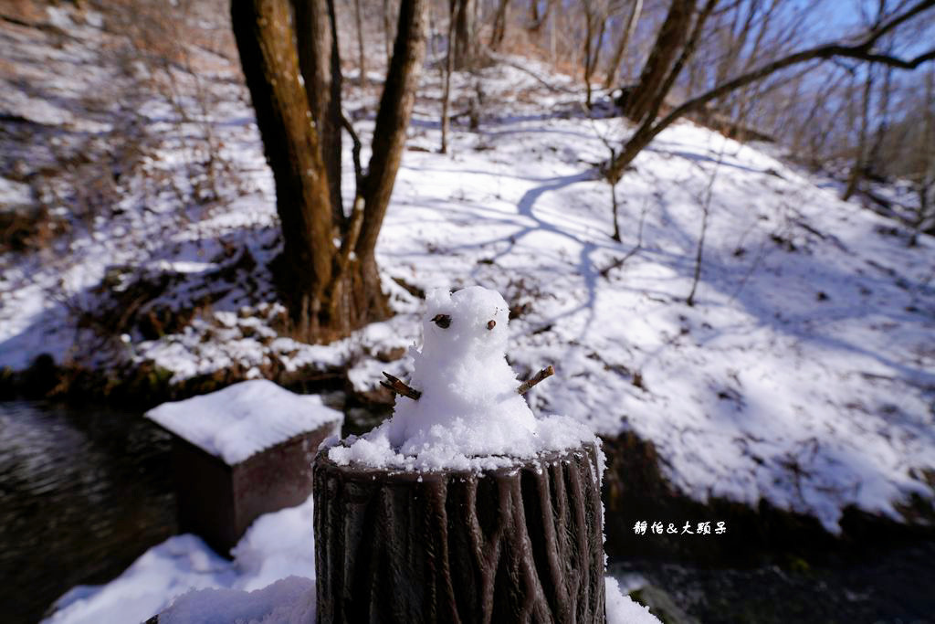 東京旅遊 ❙ 輕井澤白絲瀑布、白糸の滝，白雪皚皚，日本輕井澤