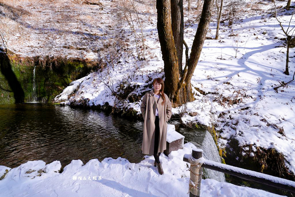 東京旅遊 ❙ 輕井澤白絲瀑布、白糸の滝，白雪皚皚，日本輕井澤