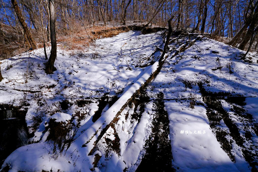 東京旅遊 ❙ 輕井澤白絲瀑布、白糸の滝，白雪皚皚，日本輕井澤