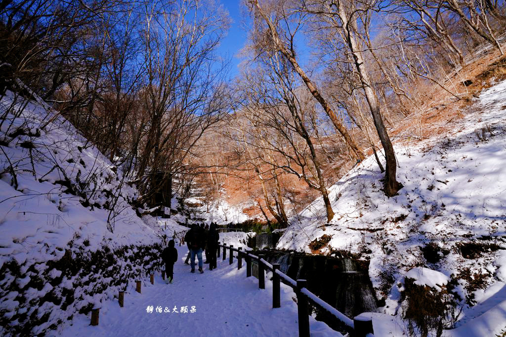 東京旅遊 ❙ 輕井澤白絲瀑布、白糸の滝，白雪皚皚，日本輕井澤