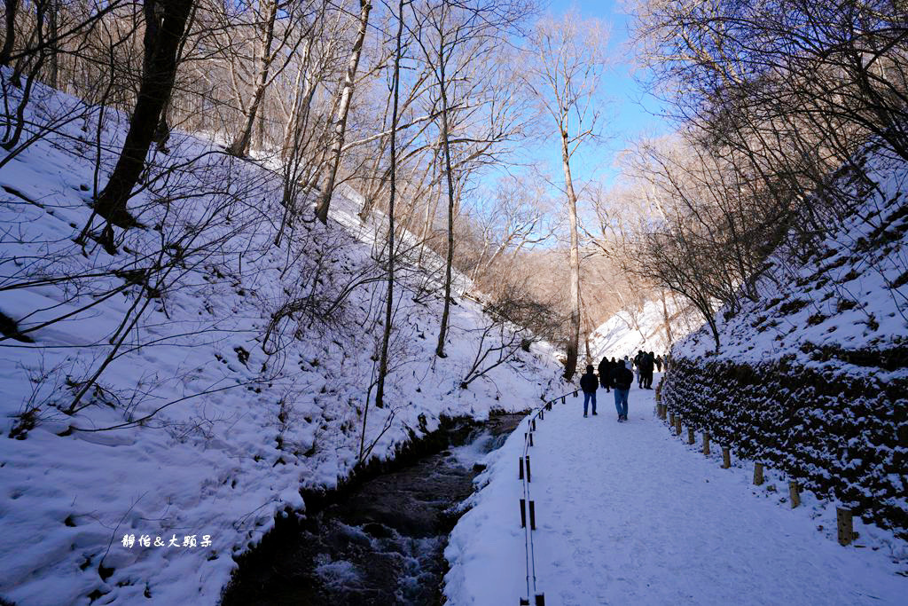 東京旅遊 ❙ 輕井澤白絲瀑布、白糸の滝，白雪皚皚，日本輕井澤