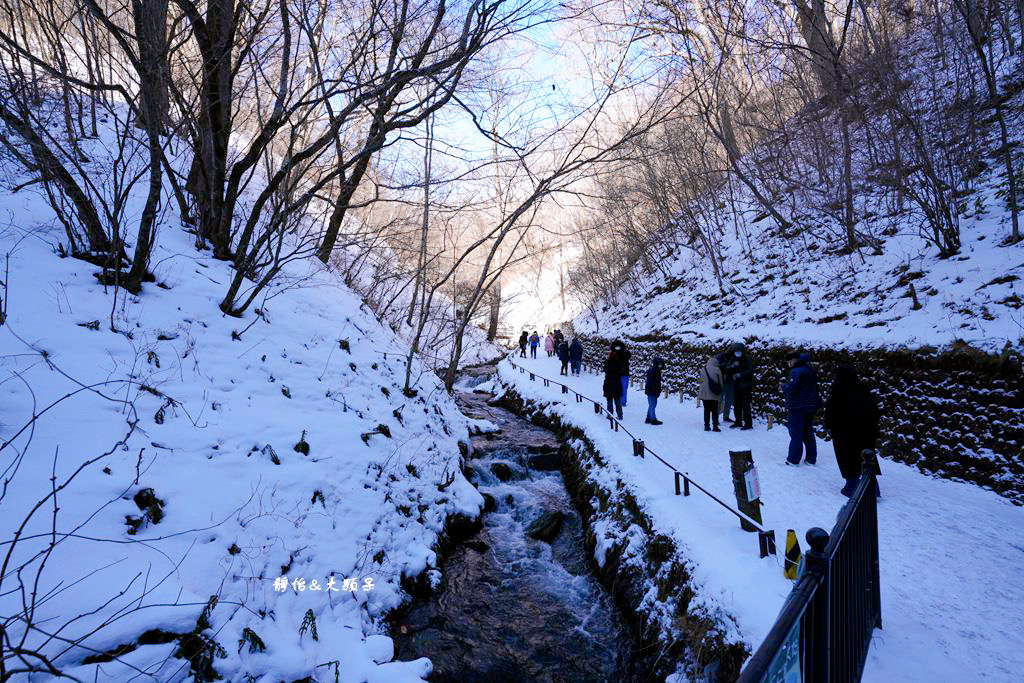 東京旅遊 ❙ 輕井澤白絲瀑布、白糸の滝，白雪皚皚，日本輕井澤