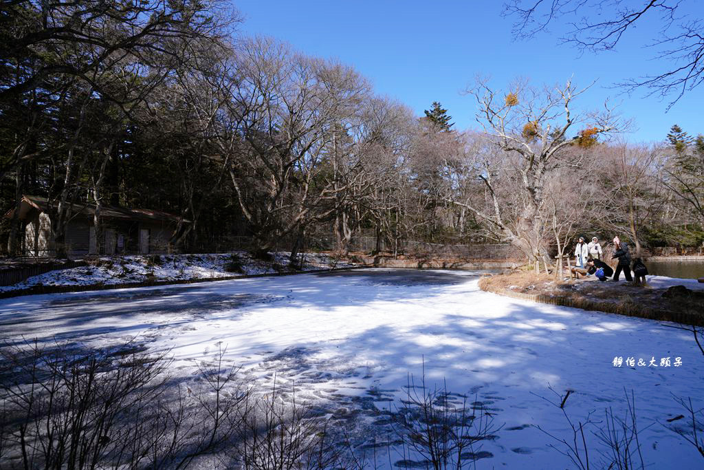 東京旅遊 ❙ 雲場池，輕井澤三大名所，賞紅葉、浪漫雪景，日本